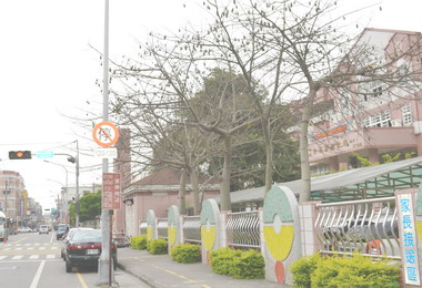 台中文雅國小校門樹果粒常擊中學生與行人(圖)