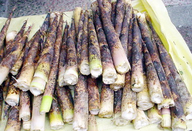 鹿谷桂竹筍盛產美食令人讚不絕口(圖)