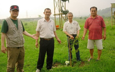 水利署第四河川局種櫻​花惹人怨？(圖)