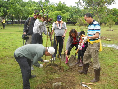 塗城公園栽植山櫻花將成為櫻花森林(圖)
