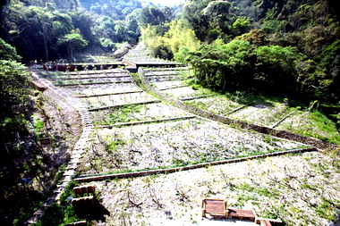 林務局南投林管處日月潭生態工程示範區(圖)