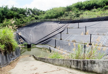 開放垃圾掩埋遭反對嚴鴻邦：不做違法事(圖)