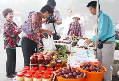 苗縣桃李觀光季熱鬧登場(圖)