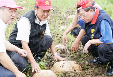 邱鏡淳視察農災情形要求爭取中央救助(圖)