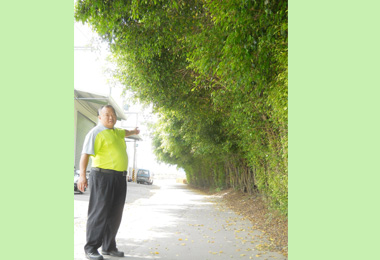 台74線大里大元國小後方樹木茂密待修剪(圖)