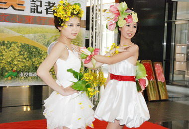 埔里火鶴與文心蘭正盛產民眾可選購(圖)