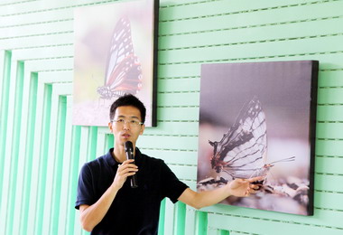 彩蝶迷劉明浩紀錄一系列蝶影(圖)