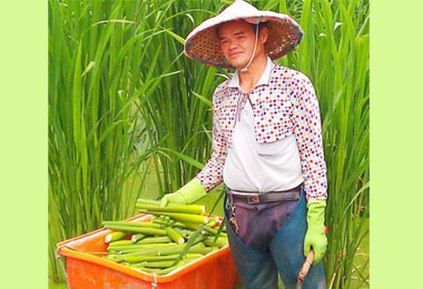 日月潭酒店當地食材融入餐飲文化(圖)