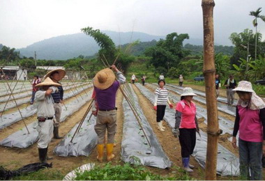 勞工局進行莫拉克重建區就業訪查(圖)