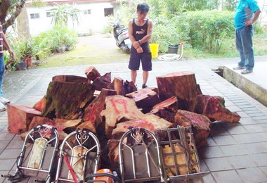 雲林石壁原始山林查獲毒品及牛樟木竊盜案(圖)