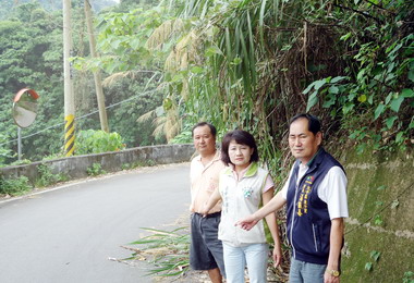 太平山區農路荒草叢生成行車視線死角(圖)