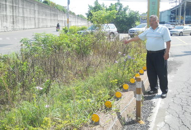 中投公路與大里路交會處槽化島雜草叢生(圖)