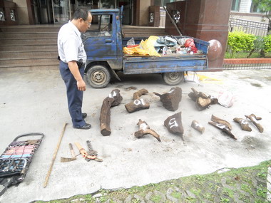 信義警方查扣牛樟高級木塊(圖)