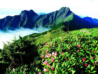 玉山園區秀麗風光 歡迎賞玩(圖)