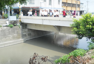 蘇拉肆虐大里溪沿岸砂石堆發現暴斃魚群(圖)