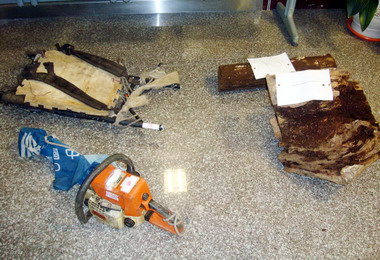 名間所警逮獲山老鼠盜採牛樟靈芝(圖)