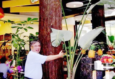 溪頭二株筆直參天台灣杉稱之屋中樹(圖)