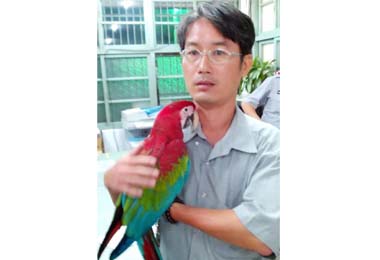 台中警助失主鳥兒返家(圖)