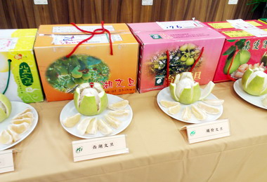 文旦柚正逢產季口感佳(圖)