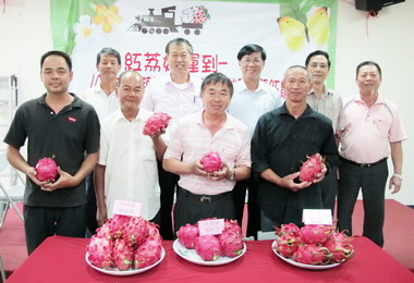 集集紅龍果評鑑成績出爐(圖)