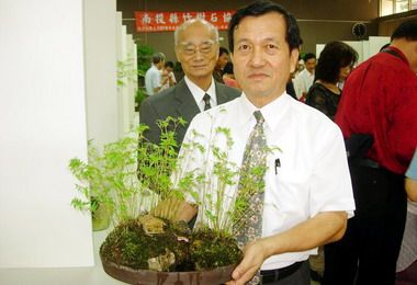 竹樹石藝術特展即日起登場(圖)