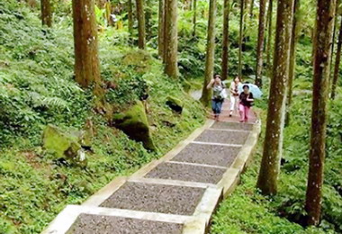 溪頭竹文化節24日熱鬧登場(圖)