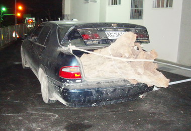 竹山警破獲山老鼠竊取珍貴木材變賣牟利(圖)