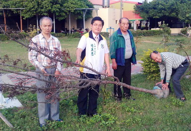 台中牛埔仔四號公園換植枯樹遭棄置未處理(圖)