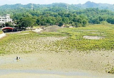 水庫露庫底台南尖山埤變大草原(圖)