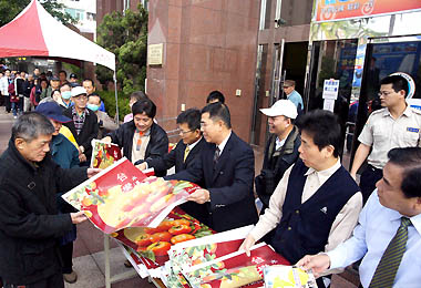 行政院南部發贈新年水果月曆(圖)