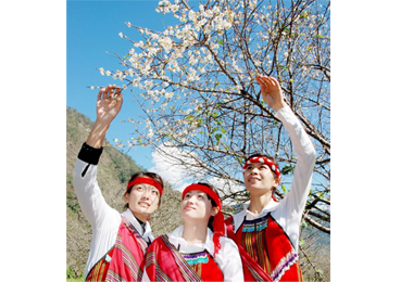 配合花卉嘉年華仁愛中原部落開放梅園(圖)