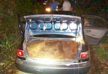 竊賊偷牛樟木遭警逮捕(圖)