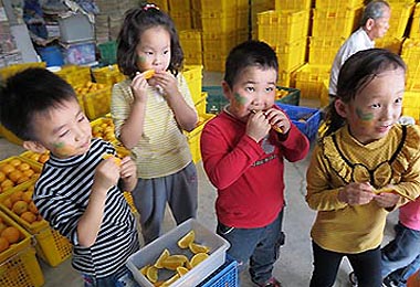 一鄉一特色水里肚財丁文化活動(圖)