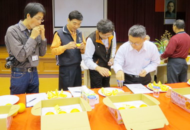 水里優質臍橙辦理評鑑競賽(圖)