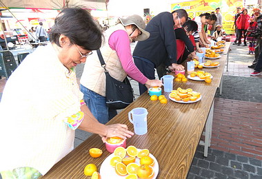 南投柳橙節列車水里開跑(圖)