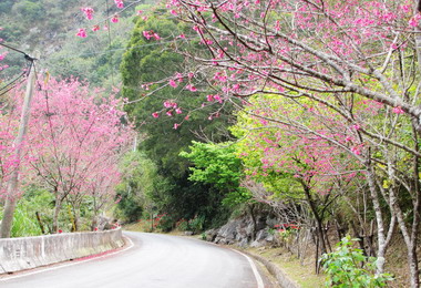 莫拉克重建區聯外道路 春節前完成路面改善(圖)
