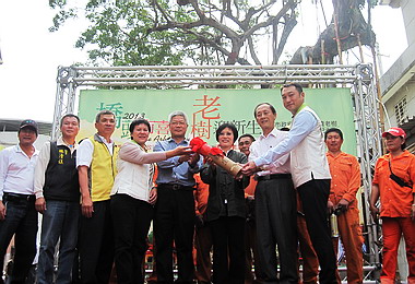 高雄百年老樹得樹癌搶救成功(圖)