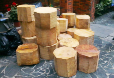 南投查獲民眾收購盜伐之檜木及牛樟謀利(圖)