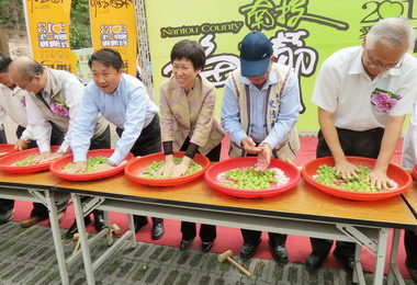 南投梅子節4月5日登場(圖)