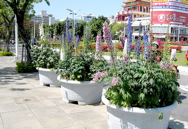 繽紛高雄－民生圓環花團錦簇(圖)