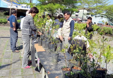 水里辦捐發票換樹苗活動(圖)