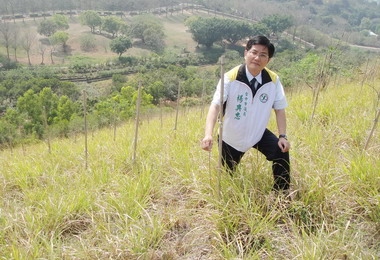 楊典忠：清水區鰲峰山植樹疏於照顧變枯枝(圖)