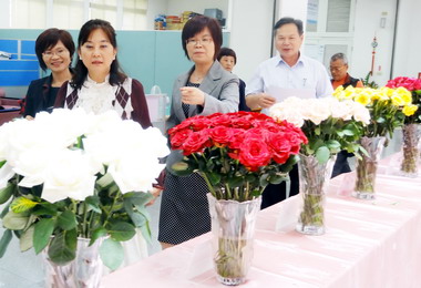 台灣蘭花大展吸引女主管一起賞花(圖)