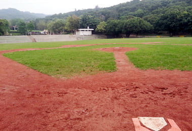 大肚環保公園壘球場裝設護網有譜(圖)