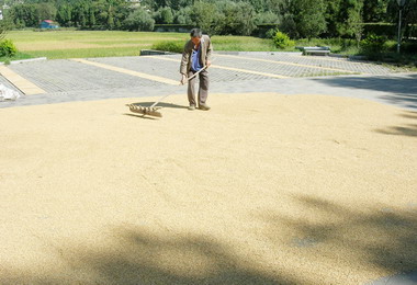 提升國產米食農糧署辦特色招牌飯票選(圖)