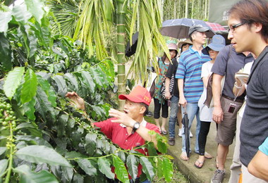 大林休閒農業區體驗即日起受理報名(圖)