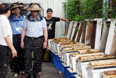 南投縣府辦理參訪企業標竿學習活動(圖)