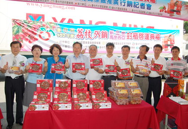 臺中荔枝外銷星馬今順利封櫃啟運(圖)