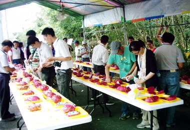 集集農會辦全國紅龍果品質評鑑會(圖)