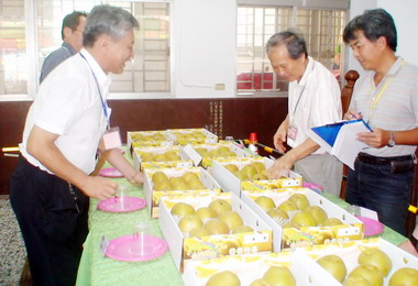 一○二貓仔坑水梨祭熱鬧舉行(圖)